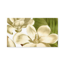 Magnolia-profielkaart