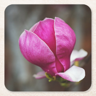 Magnolia Roze Volle Bloei Kartonnen Onderzetters