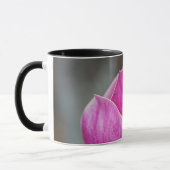 Magnolia Roze Volle Bloei Mok (Links)