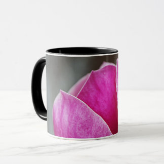 Magnolia Roze Volle Bloei Mok