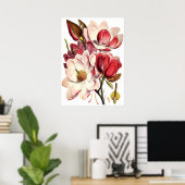  Magnolia Schilting door British Botanist Poster (Thuiskantoor)