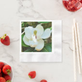 Magnolia Servet (Insitu)