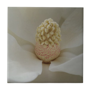 Magnolia Small (4,25 x 4,25 inch) keramische Tegel Tegeltje