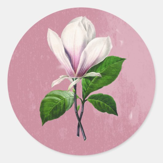  Magnolia Song Kleding en Geschenken Ronde Sticker (Voorkant)