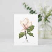 Magnolia soulangiana briefkaart (Staand voorkant)