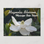 Magnolia State Mississippi Floral Photographic Briefkaart (Voorkant)