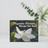Magnolia State Mississippi Floral Photographic Briefkaart (Staand voorkant)