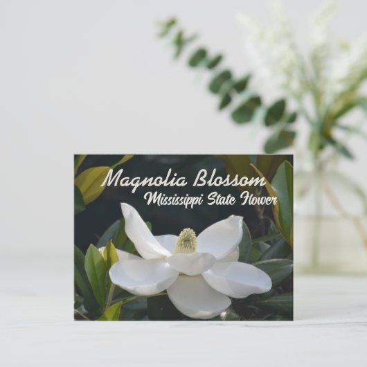 Magnolia State Mississippi Floral Photographic Briefkaart (Staand voorkant)