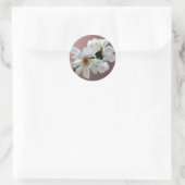 Magnolia Stellata Envelope Seal Sticker (Tas)