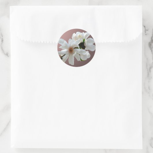 Magnolia Stellata Envelope Seal Sticker (Tas)