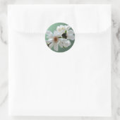 Magnolia Stellata Envelope Seal Sticker (Tas)
