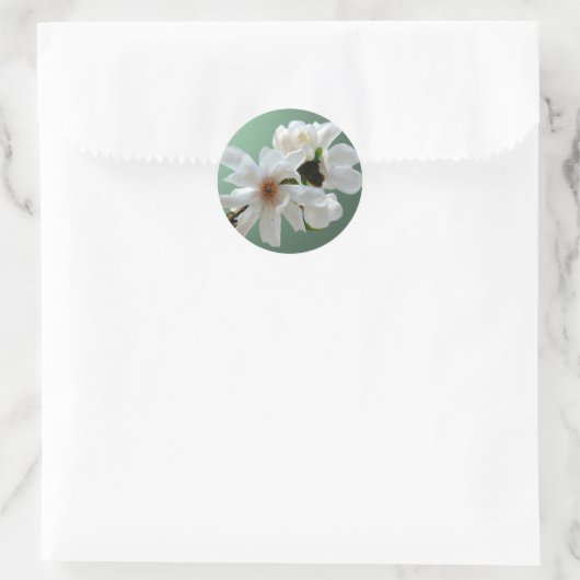 Magnolia Stellata Envelope Seal Sticker (Tas)