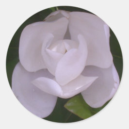Magnolia Sticker