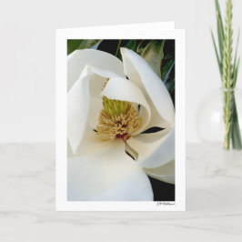 Magnolia Swirl Kaart