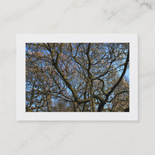 Magnolia takken in de vroege lente (omrand) visitekaartje