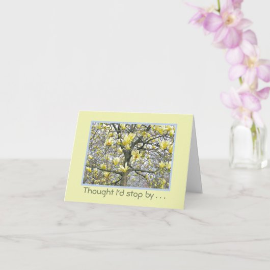 Magnolia Tree Blossom/Soft Moonlight Yellow/hi Kaart (Orchidee)