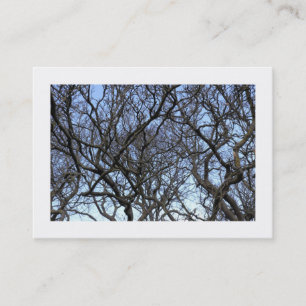 Magnolia Tree Branches (grenzen) Visitekaartje