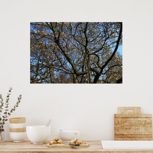 Magnolia Tree Branches Poster (Keuken)