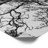 Magnolia Tree Branches Poster (Hoek)