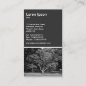 Magnolia Tree BW - 80st grijs Visitekaartje (Achterkant)