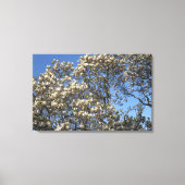Magnolia Tree Canvas Afdruk (Voorkant)