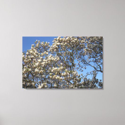 Magnolia Tree Canvas Afdruk (Voorkant)