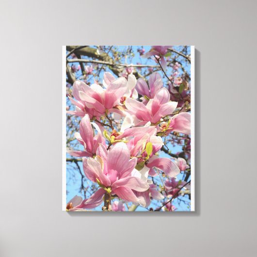 Magnolia Tree Canvas Afdruk (Voorkant)