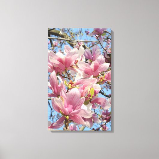 Magnolia Tree Canvas Afdruk (Voorkant)