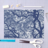 Magnolia Tree - Cyanotype-effect Tissuepapier (Craft)