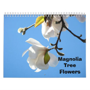 Magnolia Tree Flowers Photography Calendars Kalender