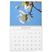 Magnolia Tree Flowers Photography Calendars Kalender (Jan 2026)