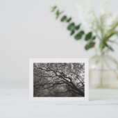 Magnolia Tree in Blossom 01 (grens) Visitekaartje (Staand voorkant)