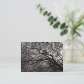 Magnolia Tree in Blossom 01 Visitekaartje (Staand voorkant)