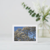 Magnolia Tree in Blossom (Borded) Visitekaartje (Staand voorkant)