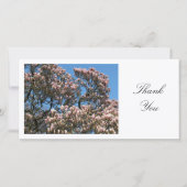 Magnolia Tree in Blossom - Dank u Bedankkaart (Voorkant)