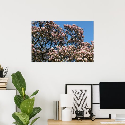 Magnolia Tree in Blossom Poster (Thuiskantoor)