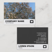 Magnolia Tree in Blossom Visitekaartje (Voorkant / Achterkant)