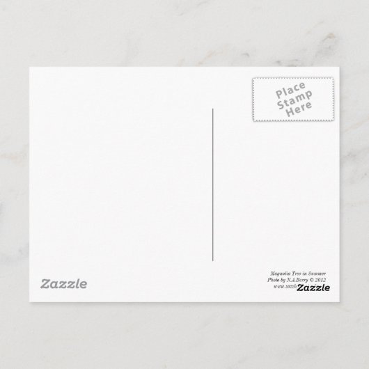 Magnolia Tree in de zomer Briefkaart (Achterkant)