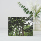 Magnolia Tree in de zomer Briefkaart (Staand voorkant)