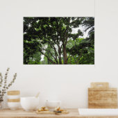 Magnolia Tree in de zomer Poster (Keuken)