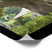 Magnolia Tree Poster (Hoek)