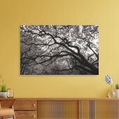 Magnolia Trees in Blossom 01 Canvas Afdruk (Insitu (Woonkamer))