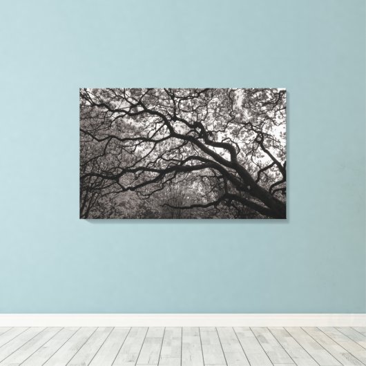 Magnolia Trees in Blossom 01 Canvas Afdruk (Insitu (Houten vloer))