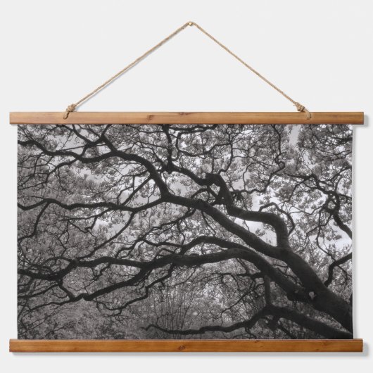 Magnolia Trees in Blossom 01 Hangend Wandkleed (Voorkant)