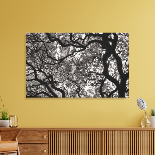 Magnolia Trees in Blossom 02 Canvas Afdruk (Insitu (Woonkamer))