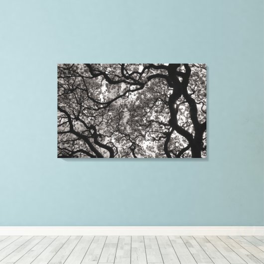 Magnolia Trees in Blossom 02 Canvas Afdruk (Insitu (Houten vloer))