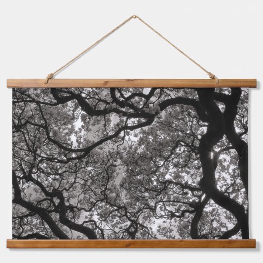 Magnolia Trees in Blossom 02 Hangend Wandkleed (Voorkant)