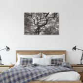 Magnolia Trees in Blossom 03 Canvas Afdruk (Insitu (Slaapkamer))