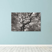 Magnolia Trees in Blossom 03 Canvas Afdruk (Insitu (Houten vloer))
