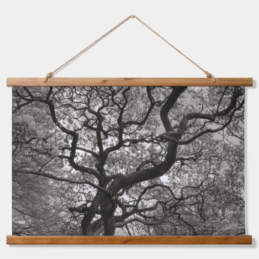 Magnolia Trees in Blossom 03 Hangend Wandkleed (Voorkant)